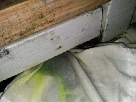 Parc Cristal (Leak Investigation)